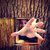 J Busch thumbnail