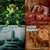 jeff williams thumbnail