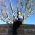 Benjamin Limpich thumbnail