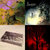 Niccolo Mundell thumbnail