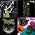 Paul Saxon thumbnail
