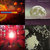 copernican thumbnail