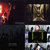 Petri T thumbnail