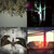 LFOrg. thumbnail