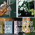 Ben Leikin thumbnail