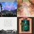DANIEL MUNIZ thumbnail