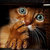 NaomiHunter1988 thumbnail