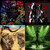 Nicholas Adams thumbnail