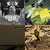 Gregory Majewski thumbnail