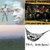 Daniel WIlcox thumbnail