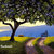 Backroads thumbnail
