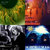 tim riley thumbnail