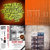 Charles Choc Jr. thumbnail