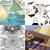 Tom McIntosh thumbnail