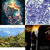 nate johnson thumbnail