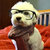 Benjamin K Doyle thumbnail