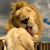 neuland thumbnail