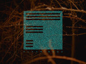 Vinyl Version