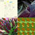 Will Bookout thumbnail