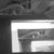 Matthew Steele thumbnail