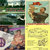 David H. Adler thumbnail