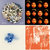 jan van iseghem thumbnail