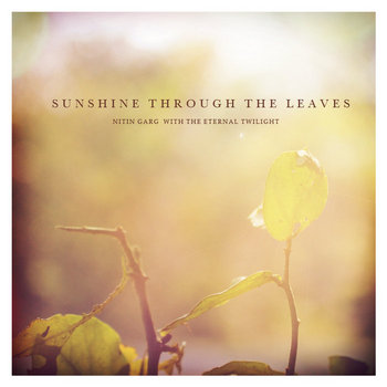 Sunshine through the leaves cover art