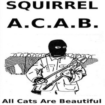 All Cats Are Beautiful cover art