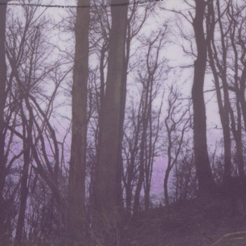 Forest EP cover art