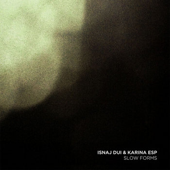 Slow Forms cover art