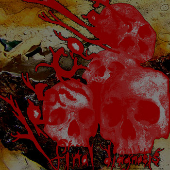 Final Diagnosis cover art