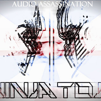 Audio Assassination cover art