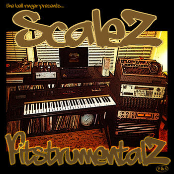 PitstrumentalZ cover art
