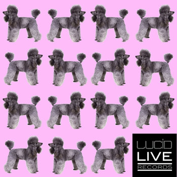 16 Poodles Vol.1 cover art
