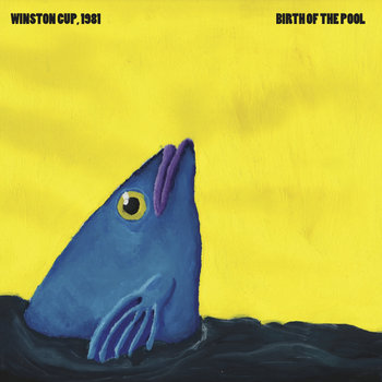 Birth of the Pool cover art