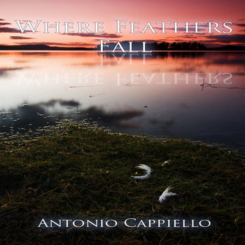 Where Feathers Fall cover art