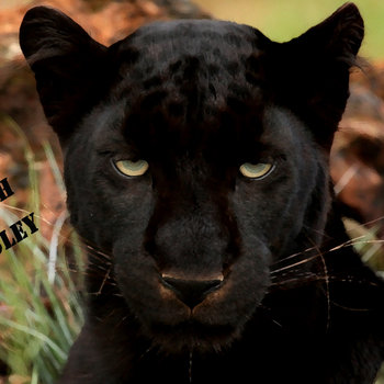 The Rebirth Of Kingsley Part.1 cover art