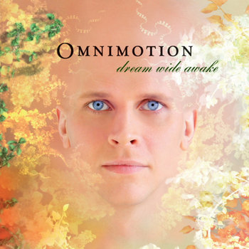 Dream Wide Awake cover art