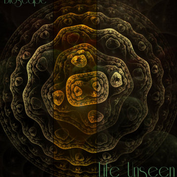 Life Unseen EP cover art