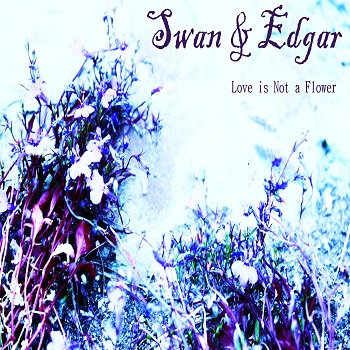 Love Is Not A Flower cover art