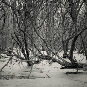 Cold and Distant, Not Loving cover art