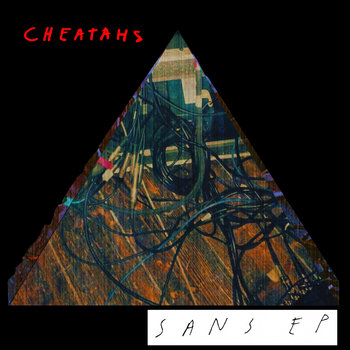 The Swan cover art
