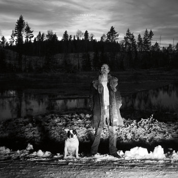 The Piercing Stare, The Thousand Lies cover art