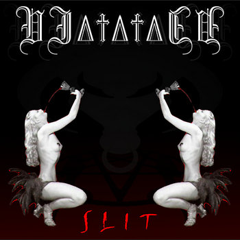 SLIT (LP) cover art
