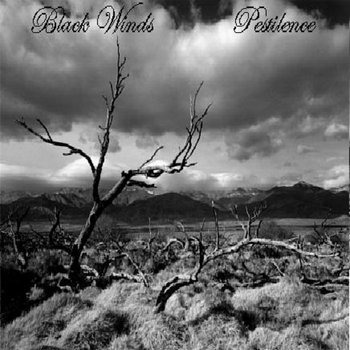 Black Winds - Pestilience cover art