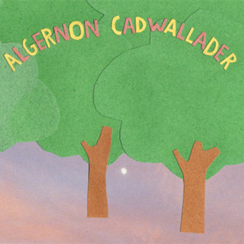 Some Kid of Cadwallader cover art