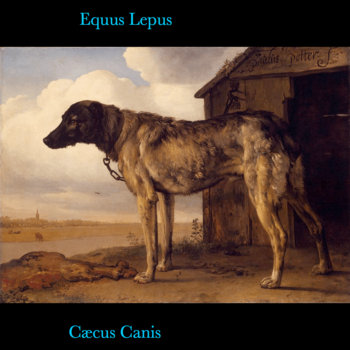 Cæcus Canis cover art