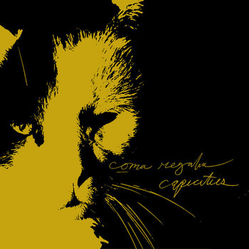 Capacities/Coma Regalia split 7" cover art