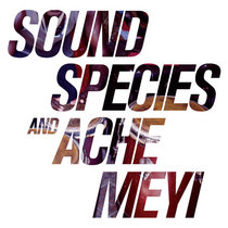 Soundspecies & Ache Meyi Cover Art