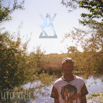 l e v e e m u z i q. cover art